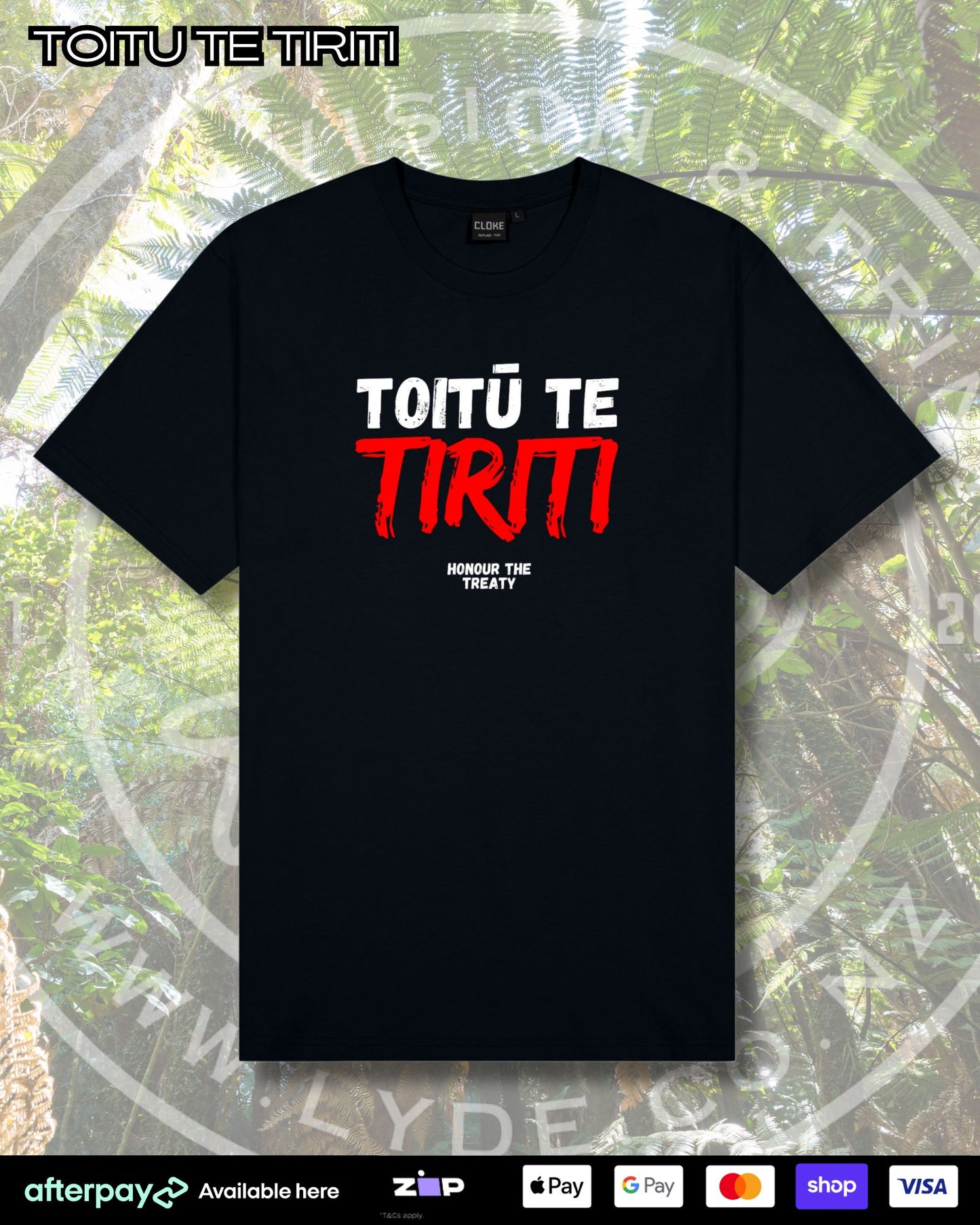 Toitū Te Tiriti (Adults)